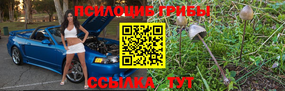Галлюциногенные грибы прущие грибы Железногорск