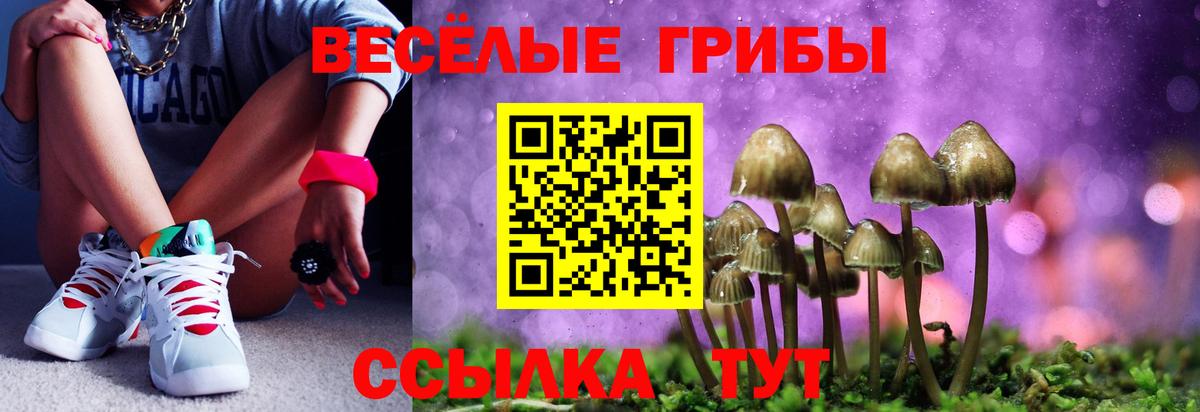 Псилоцибиновые грибы мухоморы  Вход с VPN  Галлюциногенные грибы GOLDEN TEACHER  где продают   Железногорск 
